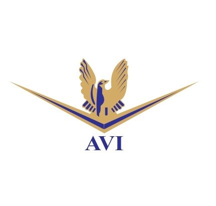 Aryana vision international 